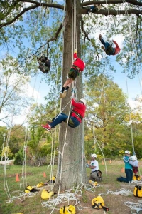 raintree-tree-climbing